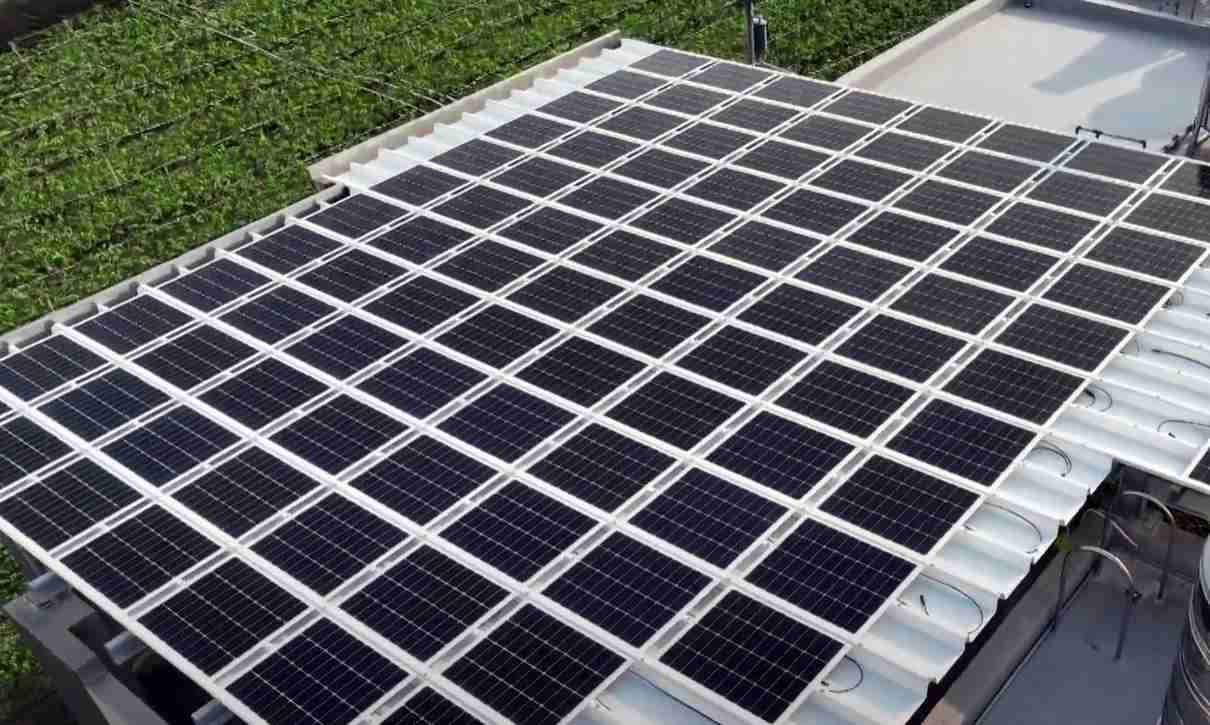 尊龙集团SunSteel光电浪板升级双玻结构，，，以提升机械负载强度及气候耐候度，，，，可广泛运用于多元场域